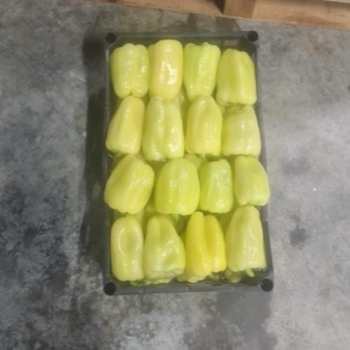 61