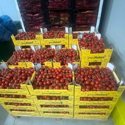 WhatsApp Image 2025-06-29 at 14.58.12
