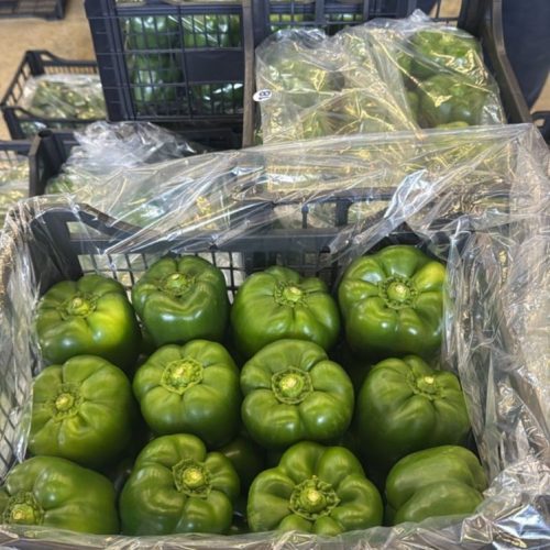 WhatsApp Image 2025-07-27 at 15.08.17