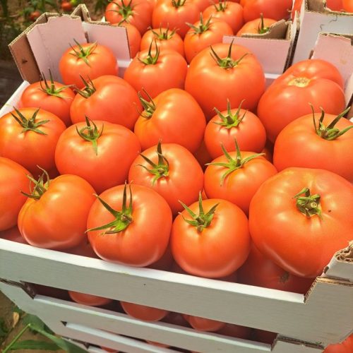 WhatsApp Image 2025-08-20 at 08.53.44